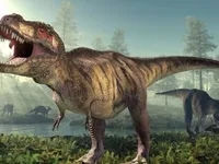 Ученые назвали версии, почему у тираннозавров были крошечные лапы