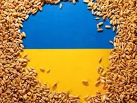 росія може заробити близько 600 млн доларів цього року на вкраденому українському зерні