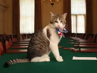 Кіт Ларрі з Даунінг-стріт дав свій прогноз щодо нового уряду Британії
