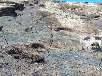 Пожар повредил 177 древних монолитов на острове Пасхи - ЮНЕСКО