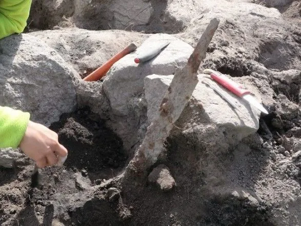 Археологи виявили два мечі епохи вікінгів на старовинному цвинтарі