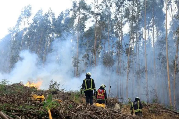 Несезонная жара вызвала десятки лесных пожаров в Испании