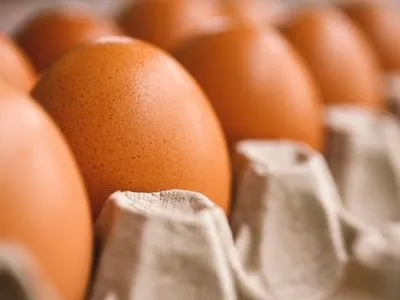 В Минагрополитики увидели остановку роста цен на яйца