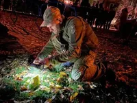 В Ровно произошел взрыв: сдетонировал боеприпас, который бросил неизвестный мужчина, есть пострадавшие