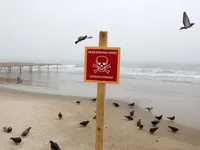 К одному из пляжей Одессы вынесло якорную мину