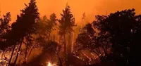 На болгаро-греческой границе продолжают гореть лесные пожары