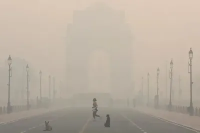 Індійська столиця закрила школи через небезпечне забруднення повітря