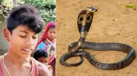 8-річний індійський хлопчик загриз змію насмерть з метою самооборони