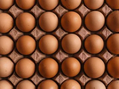 Оптові ціни на курячі яйця впали на 10% – Мінагрополітики
