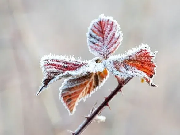 На заході морози, на півдні до 16° тепла: якою буде погода завтра