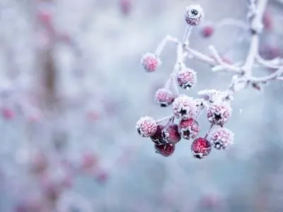 Зима придет с морозами: синоптики дали прогноз на начало декабря