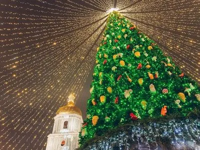 Установка главной елки Украины: решение должно быть принято до 10 декабря