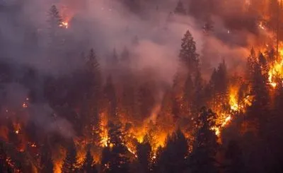 Вчені: ризики виникнення лісових пожеж зростають в усьому світі