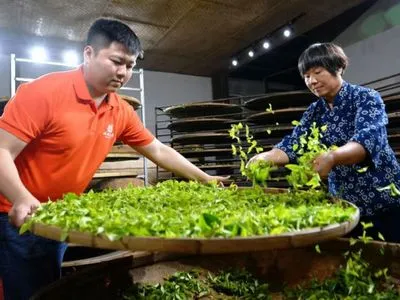 Китайское традиционное чаепитие внесено в список нематериального культурного наследия ЮНЕСКО