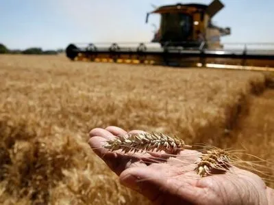 Жнива-2022: українські аграрії зібрали вже близько 42 млн тонн зерна