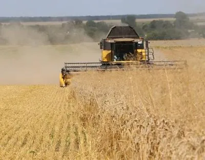 Росія вкрала в України пшениці на суму щонайменше мільярда доларів