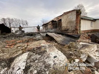 Оккупанты обстреляли ферму и амбулаторию в Сумской области: погибли животные