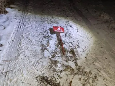 Принадлежал незаконным лесорубам: в Ровенской области на мине подорвался прицеп трактора