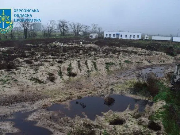 Массовый мор птиц в Чернобаевке из-за обстрела рф: открыто производство