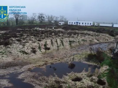 Масовий мор птахів у Чорнобаївці через обстріл рф: відкрито провадження