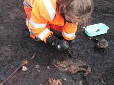 Археологи в Дании обнаружили 5000-летнее "болотное тело"