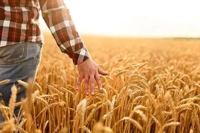 Кожен четвертий фермер України скоротив чи зупинив виробництво через війну - ФАО