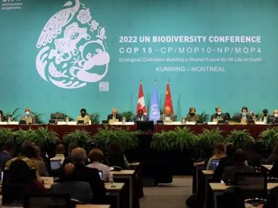 Страны приняли историческое соглашение о биоразнообразии: треть планеты станет охраняемой зоной