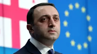 Гарібашвілі знову заявив, що Грузія не отримала статусу кандидата в ЄС лише "за політичними мотивами"