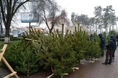 В столице пункты утилизации новогодних елок будут работать до конца января