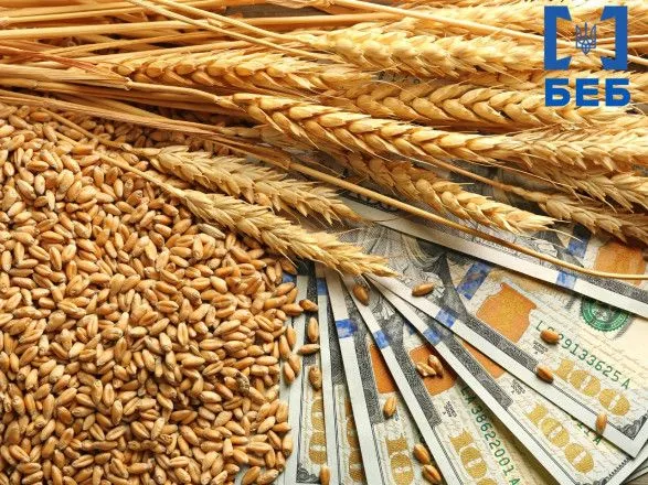 Хищение миллионов на экспорте зерна: правоохранители провели 30 обысков на таможне
