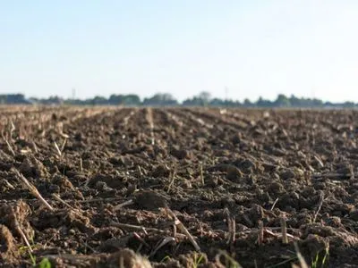 Более 20% пахотных земель в Украине под оккупацией