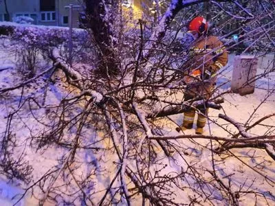 Из-за сильных снегопадов в Польше исчезает свет и гибнут люди