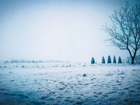 У Європі вирують снігопади: у Німеччині спровокували аварії, у Польщі - відключення світла
