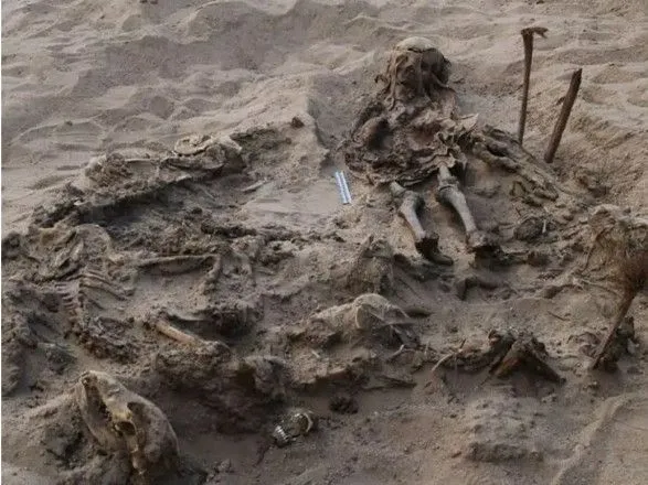u-yegipti-arkheologi-viyavili-mogilu-de-pokhovani-ditina-ta-142-sobaki