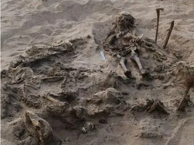 В Египте археологи обнаружили могилу, где похоронены ребенок и 142 собаки