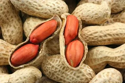 В Україну з Єгипту завезли отруйний арахіс