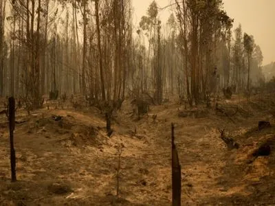 В Чили распространяются лесные пожары: погибли по меньшей мере 22 человека