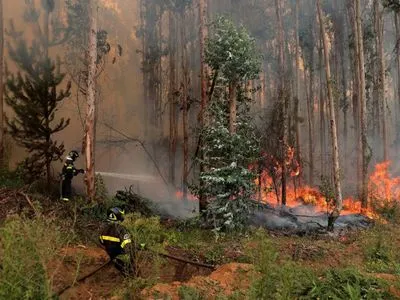 Лесные пожары в Чили: под угрозой новые территории