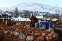 Кількість загиблих внаслідок землетрусу в Туреччині та Сирії перевищила 33 000 осіб, і очікується, що вона ще зростатиме