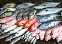 Італійська риба з токсинами та польське м'ясо з мікроорганізмами: що завозять в Україну
