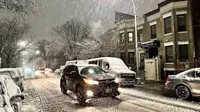 Нью-Йорк вперше за зиму накрив найбільший снігопад