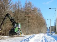Фінляндія будує паркан на кордоні з росією