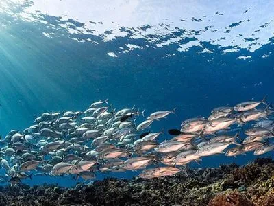 В ООН підписали угоду щодо захисту океанів, переговори тривали понад 10 років