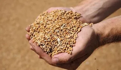 рф продолжает вывозить из Украины награбленное зерно - Генштаб