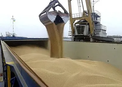 “Зернова ініціатива”: Україна експортувала вже понад 24 млн тонн зерна
