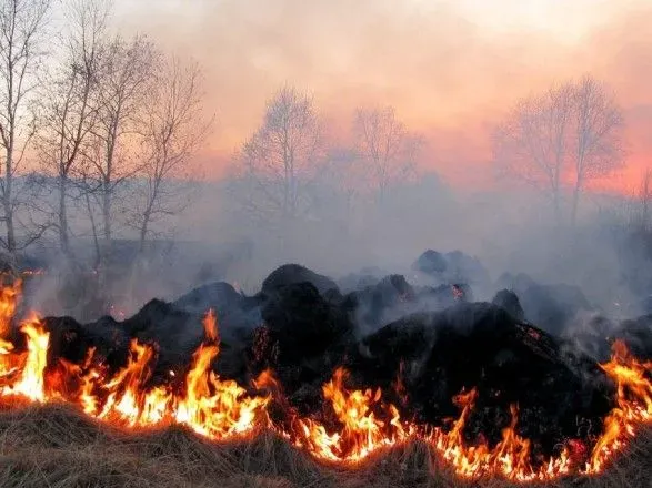 В Украине с начала года в экосистемах произошло 1,7 тыс. пожаров, а за сутки - 127