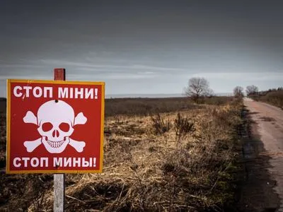 В Николаевской области трое мужчин взорвались на мине