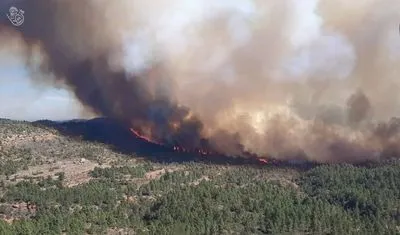 На востоке Испании бушует крупный лесной пожар: видео