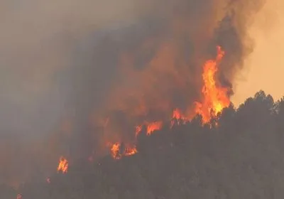 Пожежники Іспанії досі не можуть справитися з першою лісовою пожежею