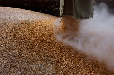 Евросоюз может снова ввести импортную пошлину на украинское зерно
